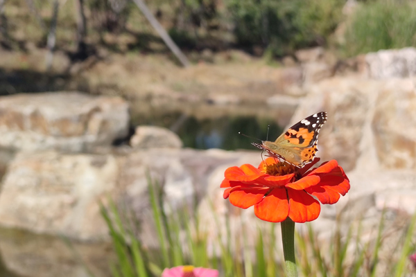 購墓前必須了解的殯葬知識(shí)！